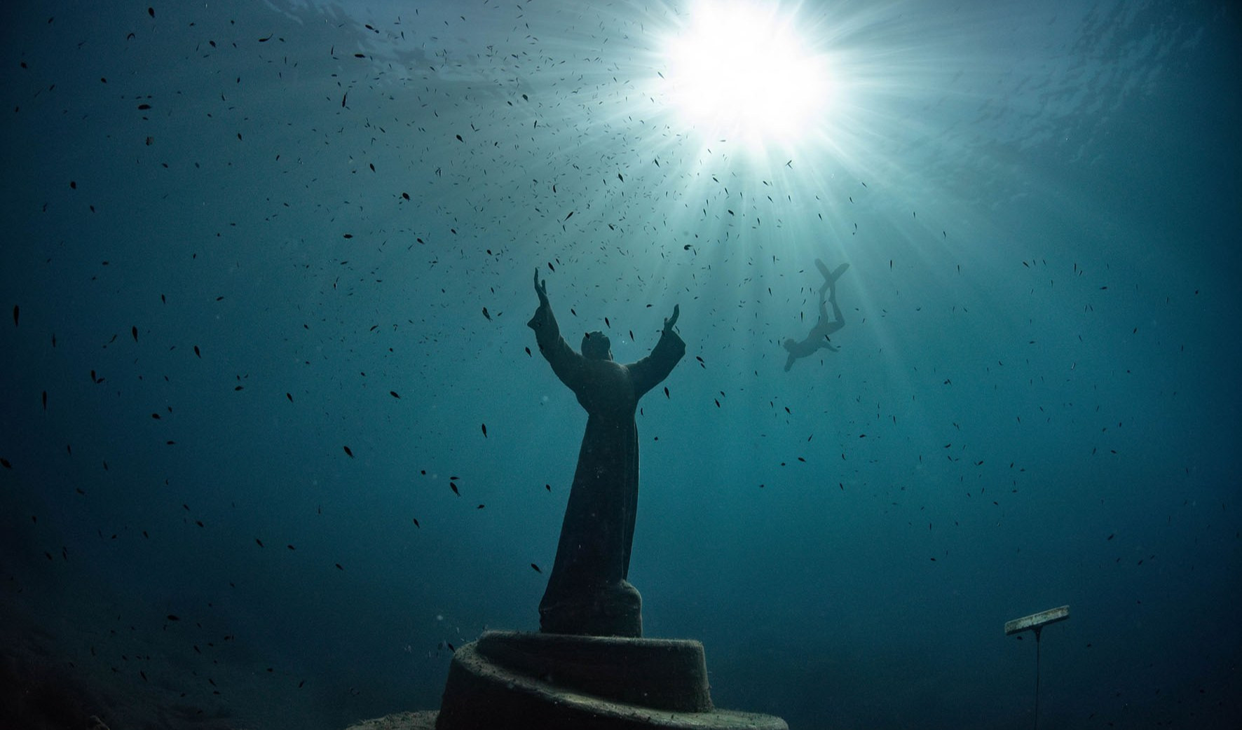 La statua del Cristo degli Abissi avvolta dai pesci