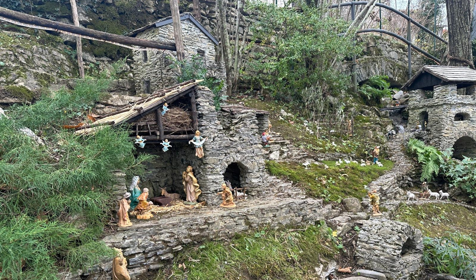 Il presepe nel bosco di Viganego e i gioielli di Struppa in 