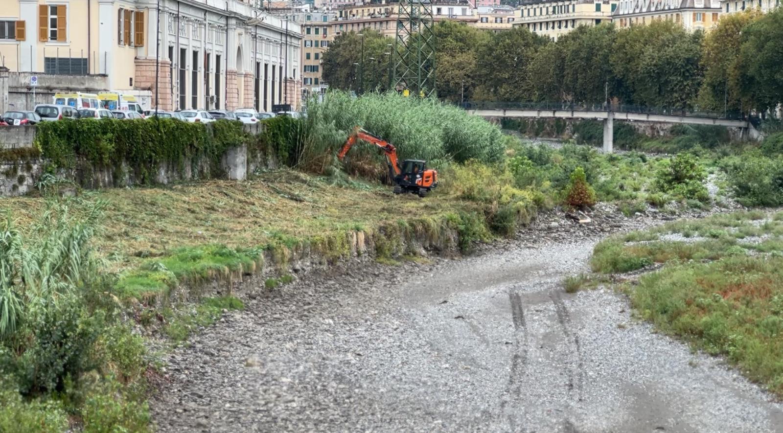 Pulizia rivi e torrenti a Genova: