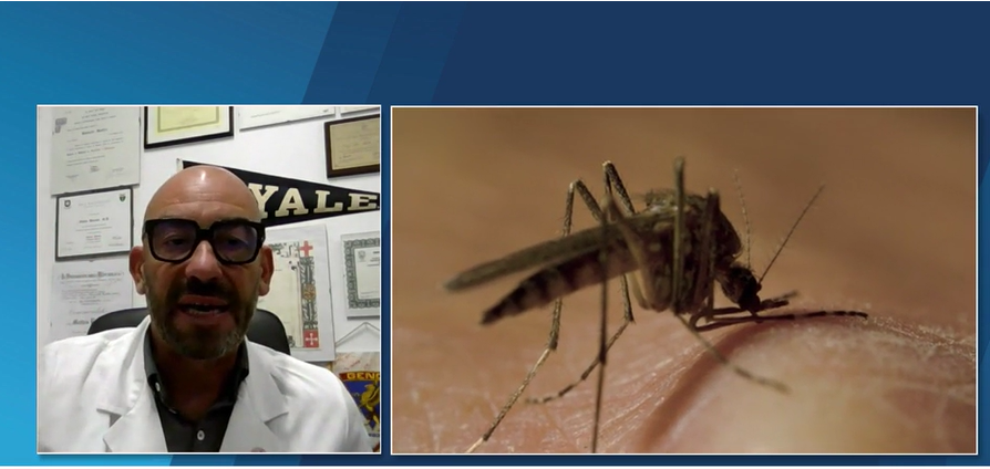 West Nile, Bassetti: