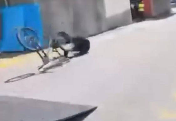 Feriti durante l'urban downhill di Genova: ecco come stanno