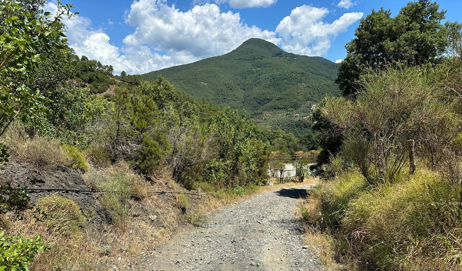 A Viaggio in Liguria i trekking d'estate: dall'Alta Via ai parchi letterari
