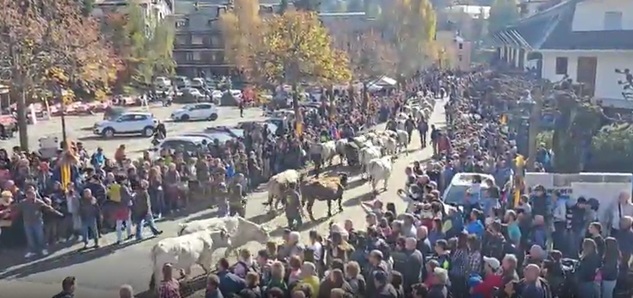 Transumanza 2025, domenica la festa a Santo Stefano d'Aveto: