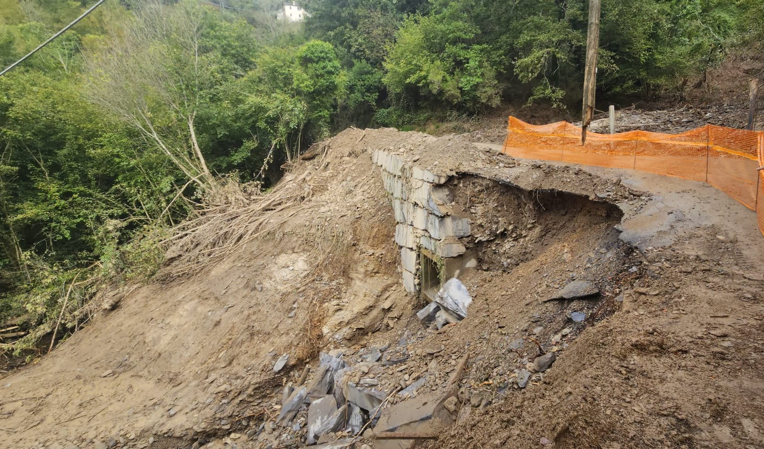 Maltempo, Giampedrone: