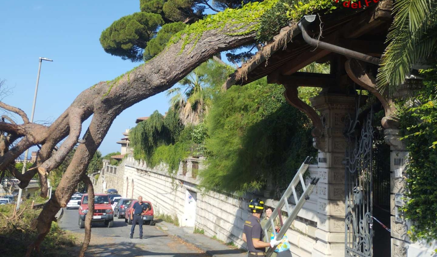 Genova, riaperta dopo due ore via Piaggio: rimosso l'albero caduto