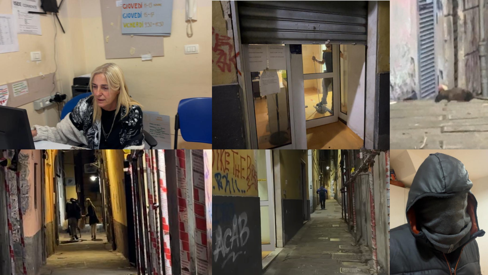 Boom di presenze nel