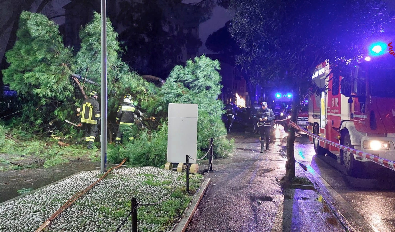 La Spezia, due grossi pini cadono su un'auto