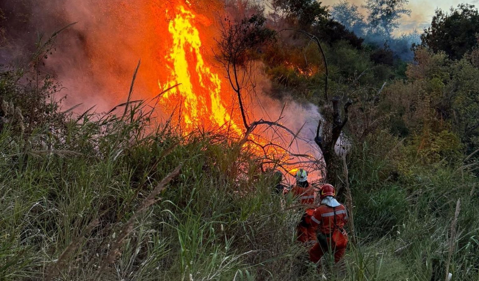 Incendi, i volontari della protezione civile di Genova in aiuto della Calabria