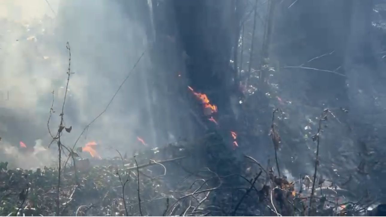 Domato l'incendio sulle alture di Varazze, prosegue il presidio 