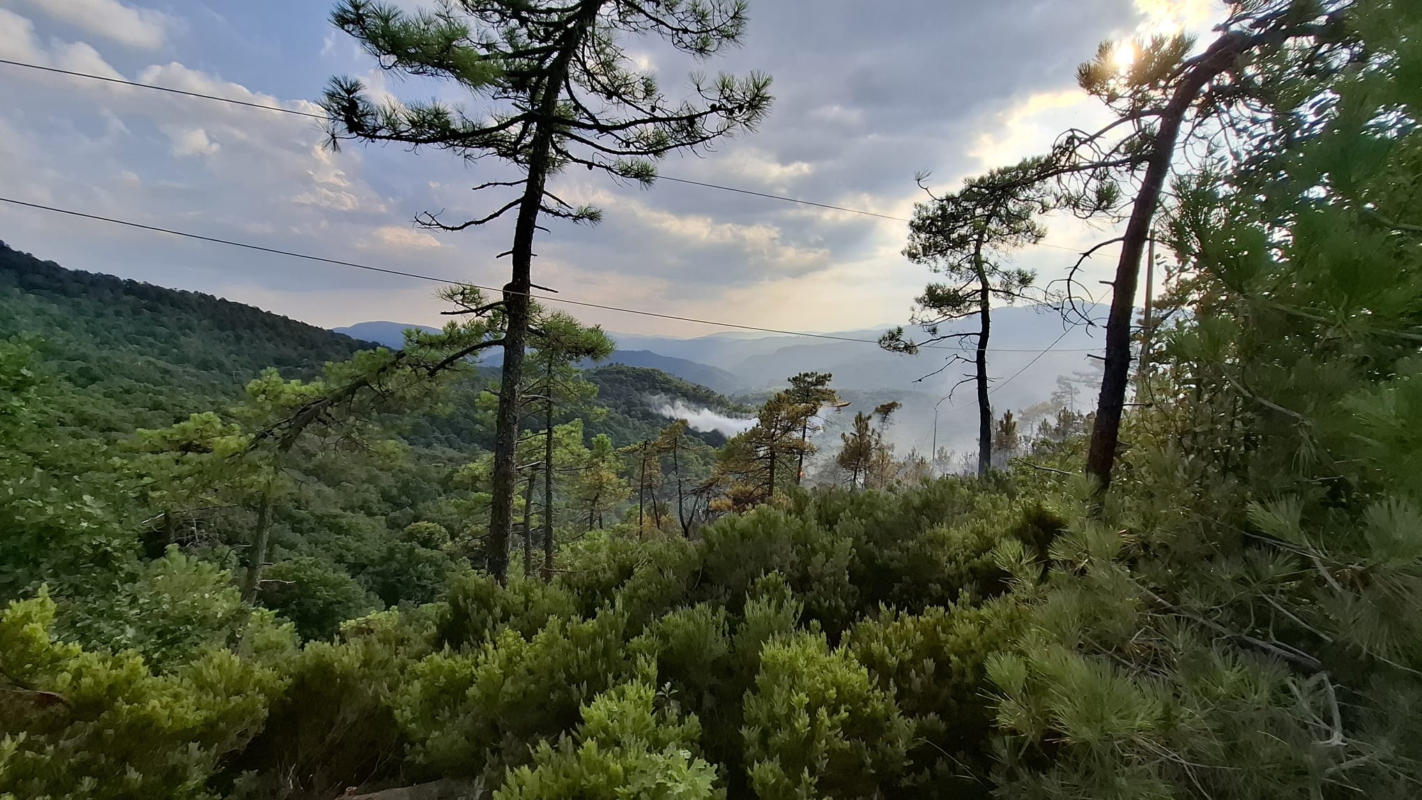Incendio circonda cascina al confine tra Liguria e Piemonte: tre feriti, uno gravissimo
