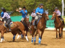 C.I. Lo Scrivia campione italiano di horse ball