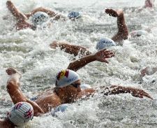 Fondo, Domenica la 1ª Regata Natatoria Golfo di Sturla 