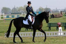 Spostati i campionati regionali di dressage