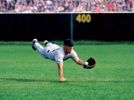 Gli Albisole Cubs si preparano per la stagione 