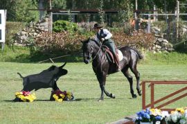 Grande appuntamento con l'ippica a Pallare