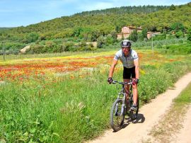 Il 5 agosto la notturna Mtb a Masone 