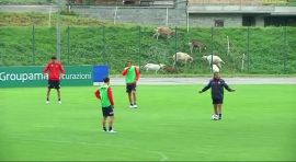 Genoa, 20 convocati per la sfida con il Verona 