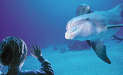 Affluenza all'Acquario Village di Genova: aumento del 7% rispetto il 2011