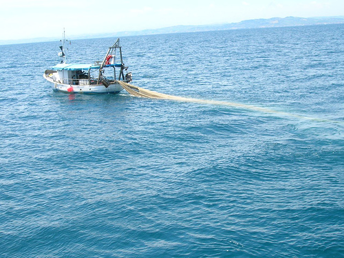 Pescano con rete non idonea, sequestrati 70kg di pescato