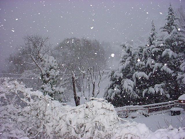 Neve in tutta la provincia, Cinque Terre imbiancate