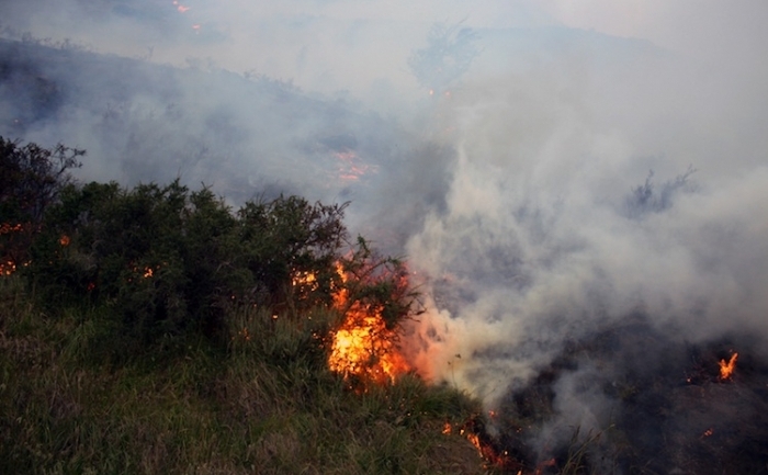 Incendio boschivo a Finale Ligure in località Olle. Nessun ferito