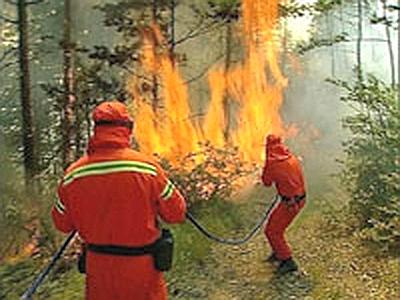 Fiamme a Olle, ma nessun pericolo per le abitazioni 