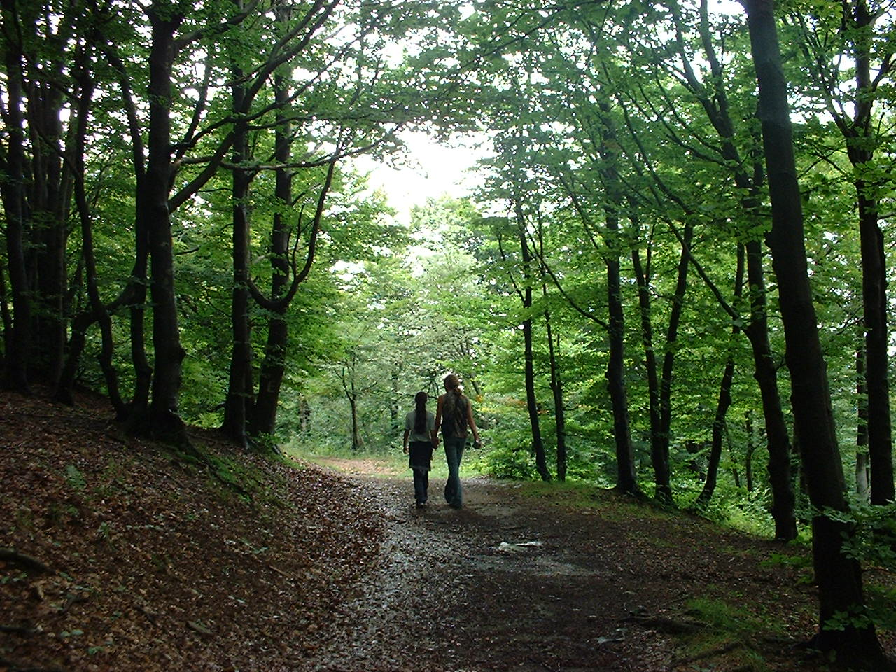 Domenica escursione nel Parco del Beigua