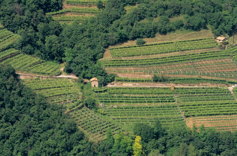 Agricoltura, domani la Liguria partecipa a un seminario in Corsica