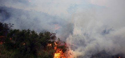 Incendio boschivo in Val Bormida, nessun ferito