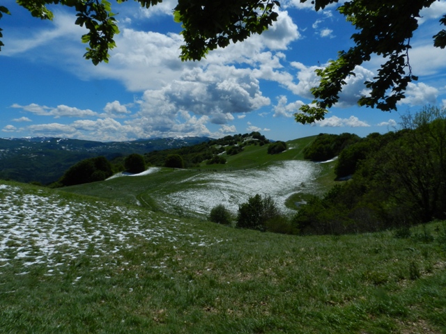 Parco Antola, è ancora Tempo di narcisi.