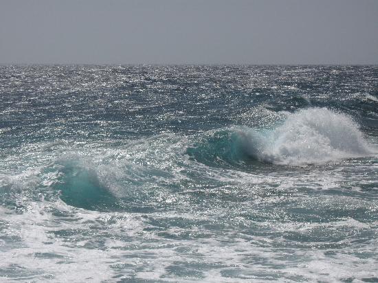 Mar ligure pulito, per scoprirlo ora c'è l'App sul telefonino