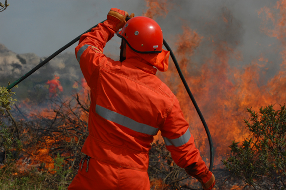 Incendio su alture di Albenga, in arrivo canadair da Roma