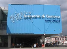 Al via i festeggiamenti per il nuovo padiglione cetacei all'acquario