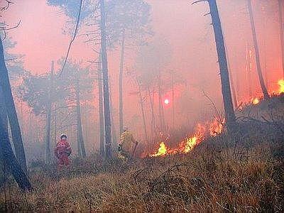 Alassio, incendio sfiora condotte gas e tralicci elettrici