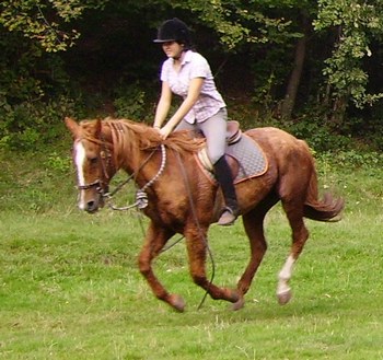 Una ragazza cade da cavallo, per lei un trauma contusivo al bacino