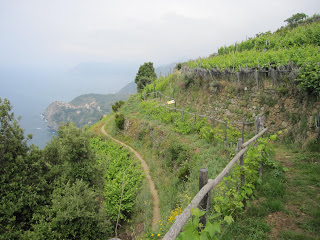 Un vademecum di buone maniere per i turisti delle Cinque Terre