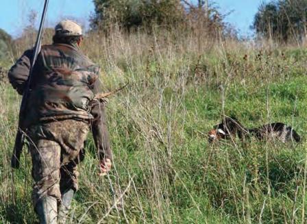 Caccia: Tar,illegittime parti calendario venatorio regionale