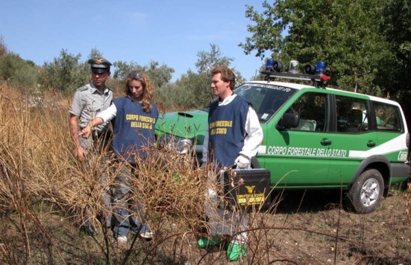 Taverna abusiva scoperta dal Corpo Forestale dello Stato