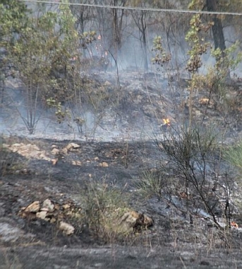 Incendi boschivi, cessato allarme in Liguria