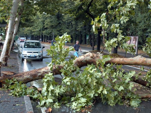 Forte vento nella notte, superlavoro per i Vigili del fuoco