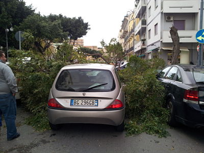 Albero cade su camper: illesi due turisti inglesi