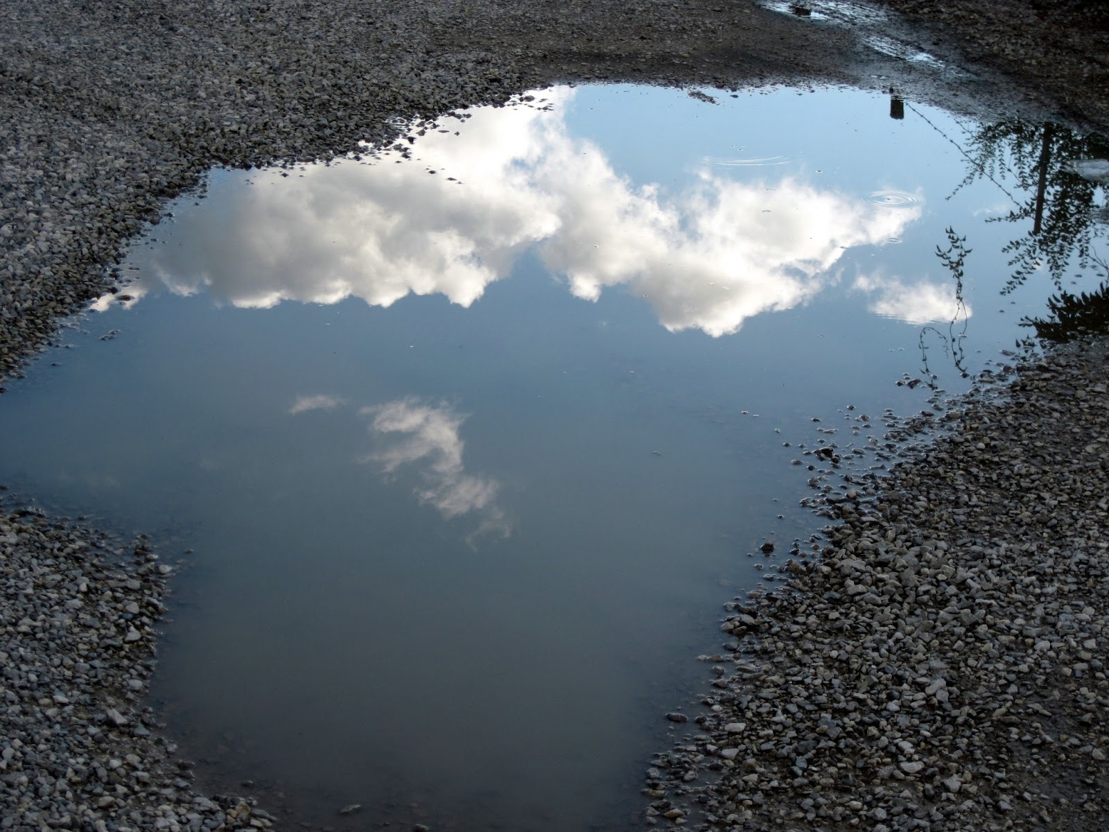 Si rompe un tubo dell'acqua, chiusa via Privata Oto