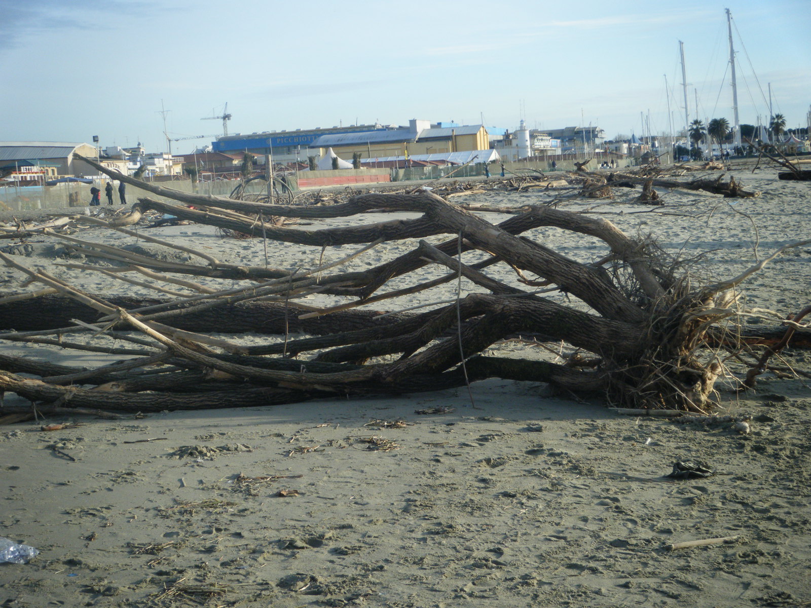 Via libera alla pulizia delle spiagge dopo la mareggiata