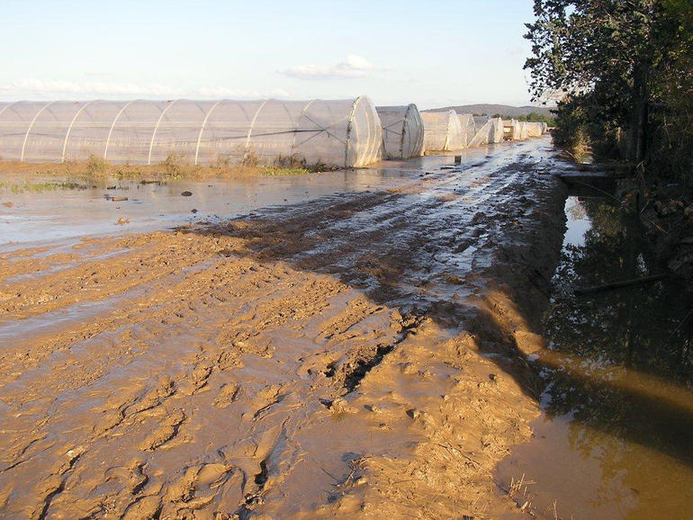 Maltempo, Coldiretti: migliaia di aziende sott'acqua.E' calamità