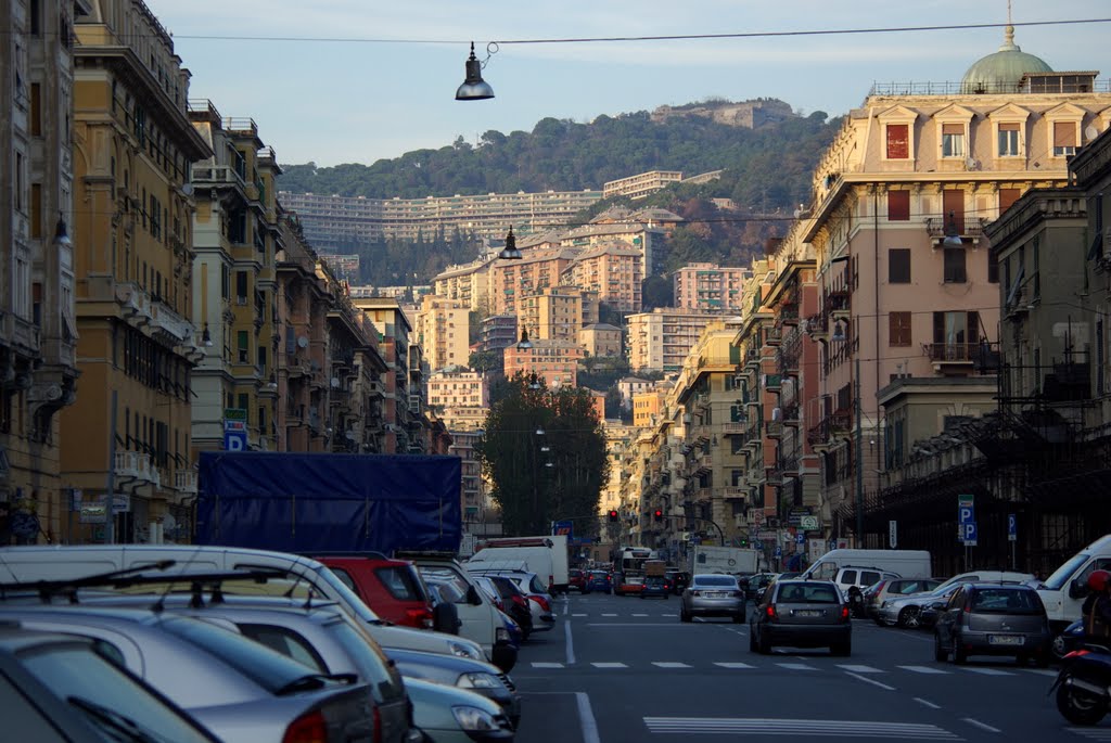 Investita da moto, donna grave in ospedale