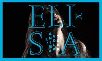 La sorpresa per i fan: la Magic box al concerto di Elisa 