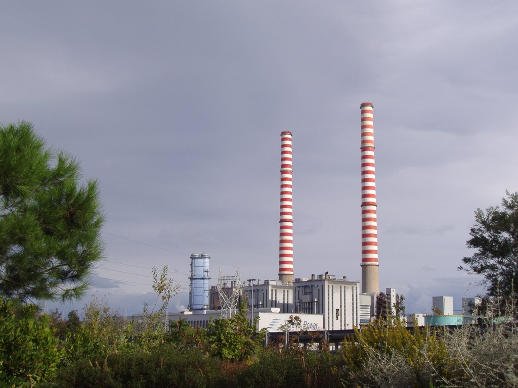 Tirreno Power, lavoratori preoccupati: 