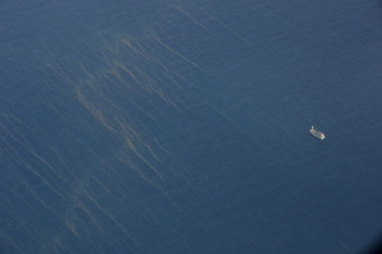 Aereo scomparso in Malaysia, avvistati degli oggetti in mare