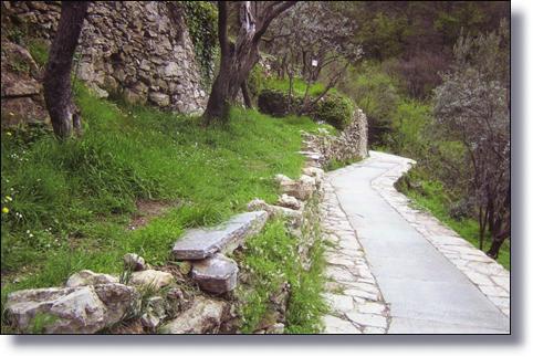 Martedì passeggiata sull'acquedotto