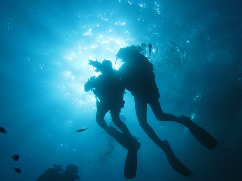 Muore subacquea in una tragica immersione vicino a Portofino 